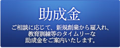 助成金：ご相談に応じて、新規創業から雇入れ、教育訓練等のタイムリーな助成金をご案内いたします。